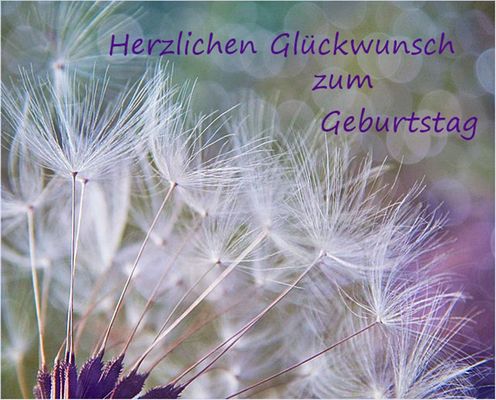 Herzlichen Glückwunsch zum Geburtstag 