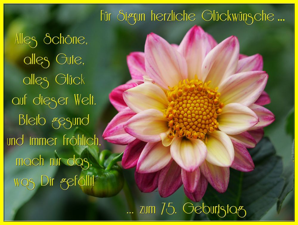 Herzlichen Glückwunsch zum Geburtstag! Foto &amp; Bild fotos, spezial, grüße Bilder auf