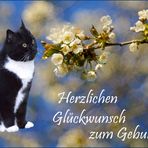 Herzlichen Glückwunsch zum Geburtstag