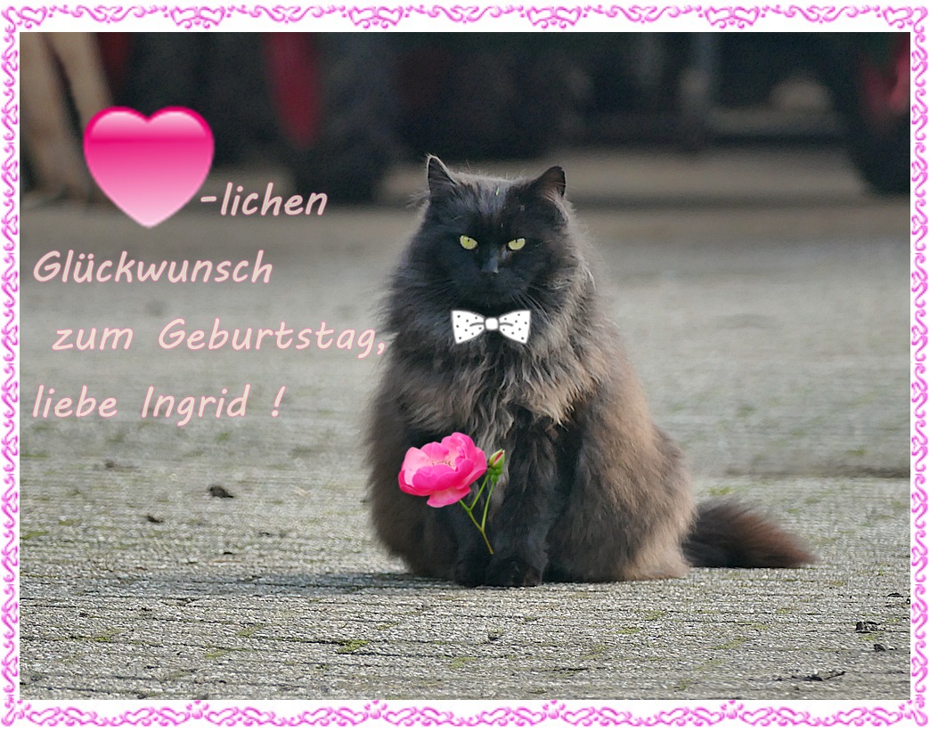 Herzlichen Glückwunsch zum Geburtstag ! Foto &amp; Bild gratulation und