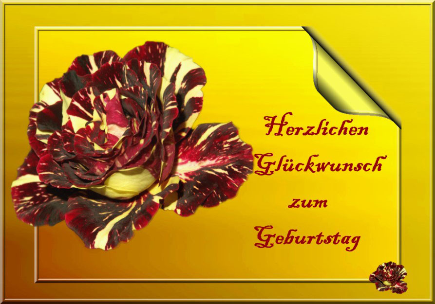 Herzlichen Glückwunsch zum Geburtstag Foto & Bild gratulation und