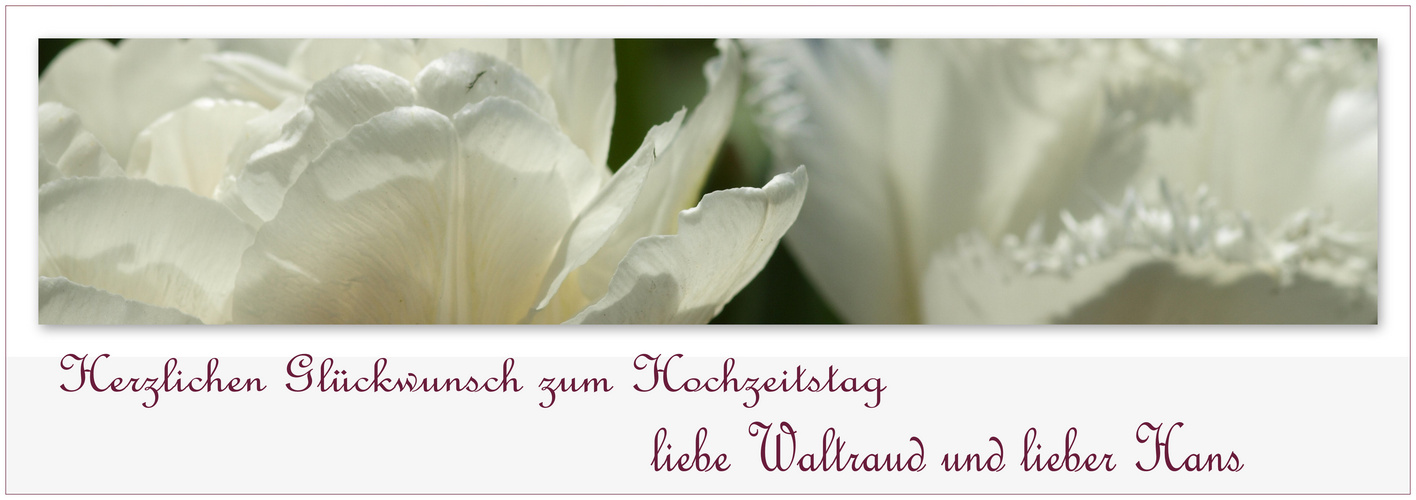 Herzlichen Glückwunsch zum Hochzeitstag