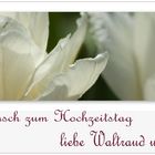 Herzlichen Glückwunsch zum Hochzeitstag