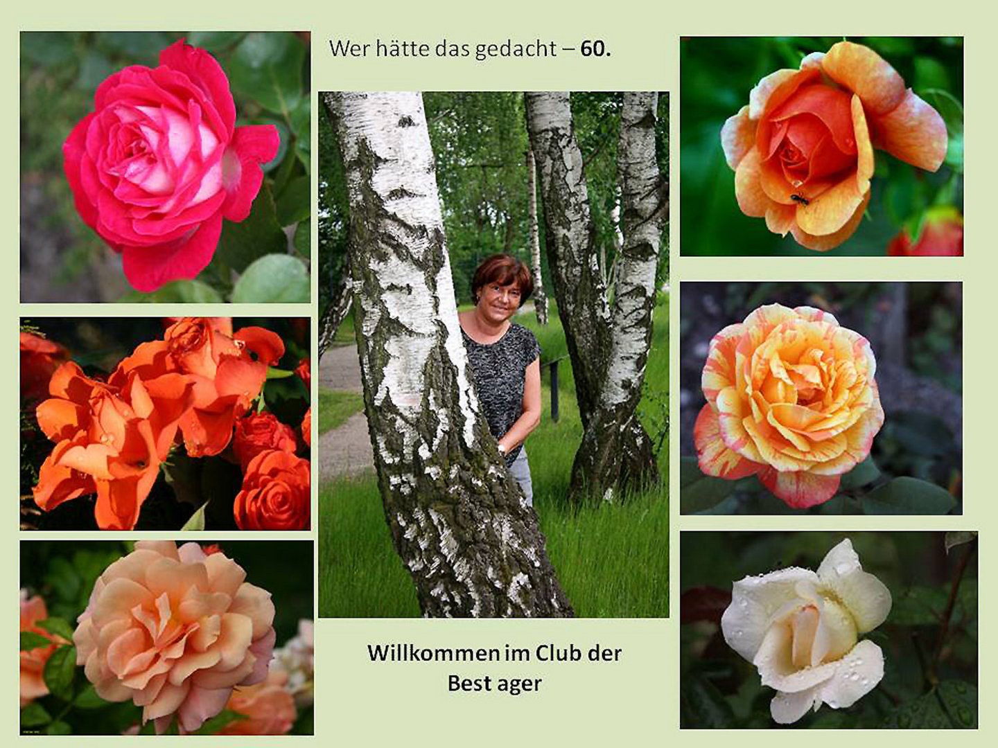 Herzlichen Gluckwunsch Zum Runden Burzeltag Foto Bild Stillleben Gratulation Und Feiertage Geburtstag Bilder Auf Fotocommunity