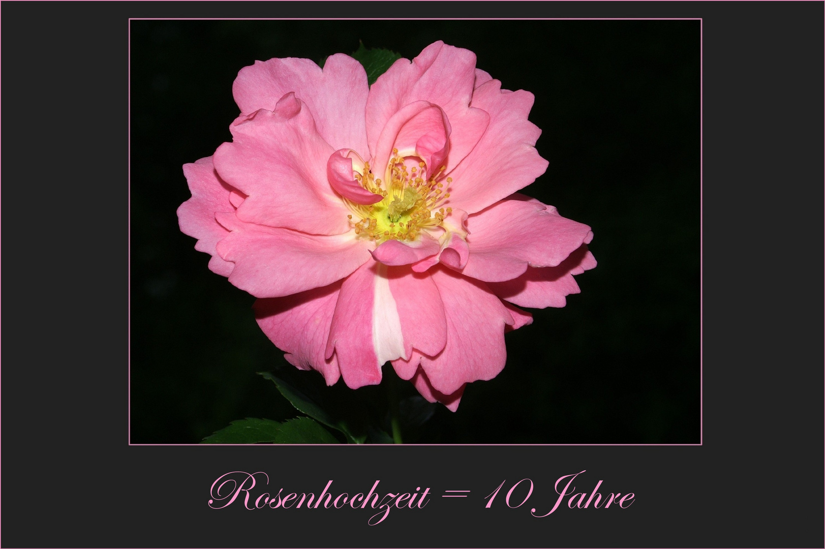 Herzlichen Glückwunsch zur Rosenhochzeit