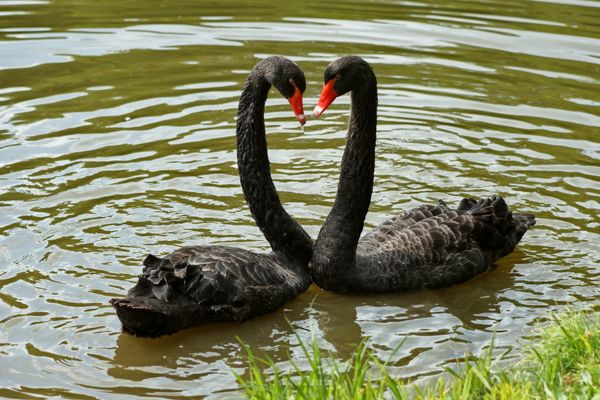 herzlicher Hochzeitstanz
