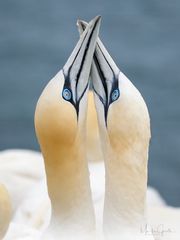 Herzliches Willkommen