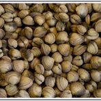 Herzmuscheln auf dem Groninger Markt.......