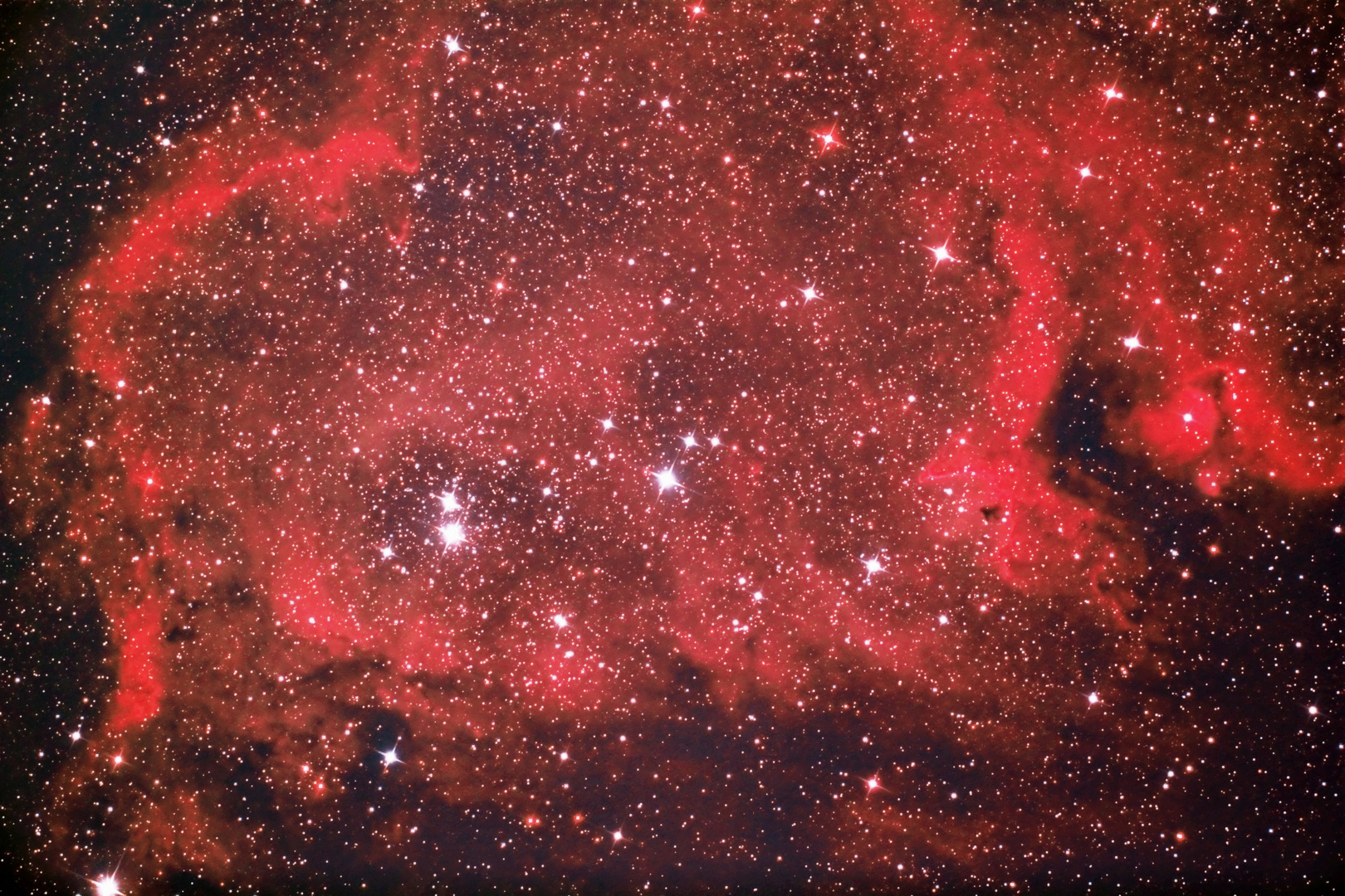 Herznebel NGC 896