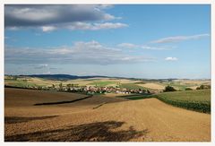 Herzogbirbaum - Blick