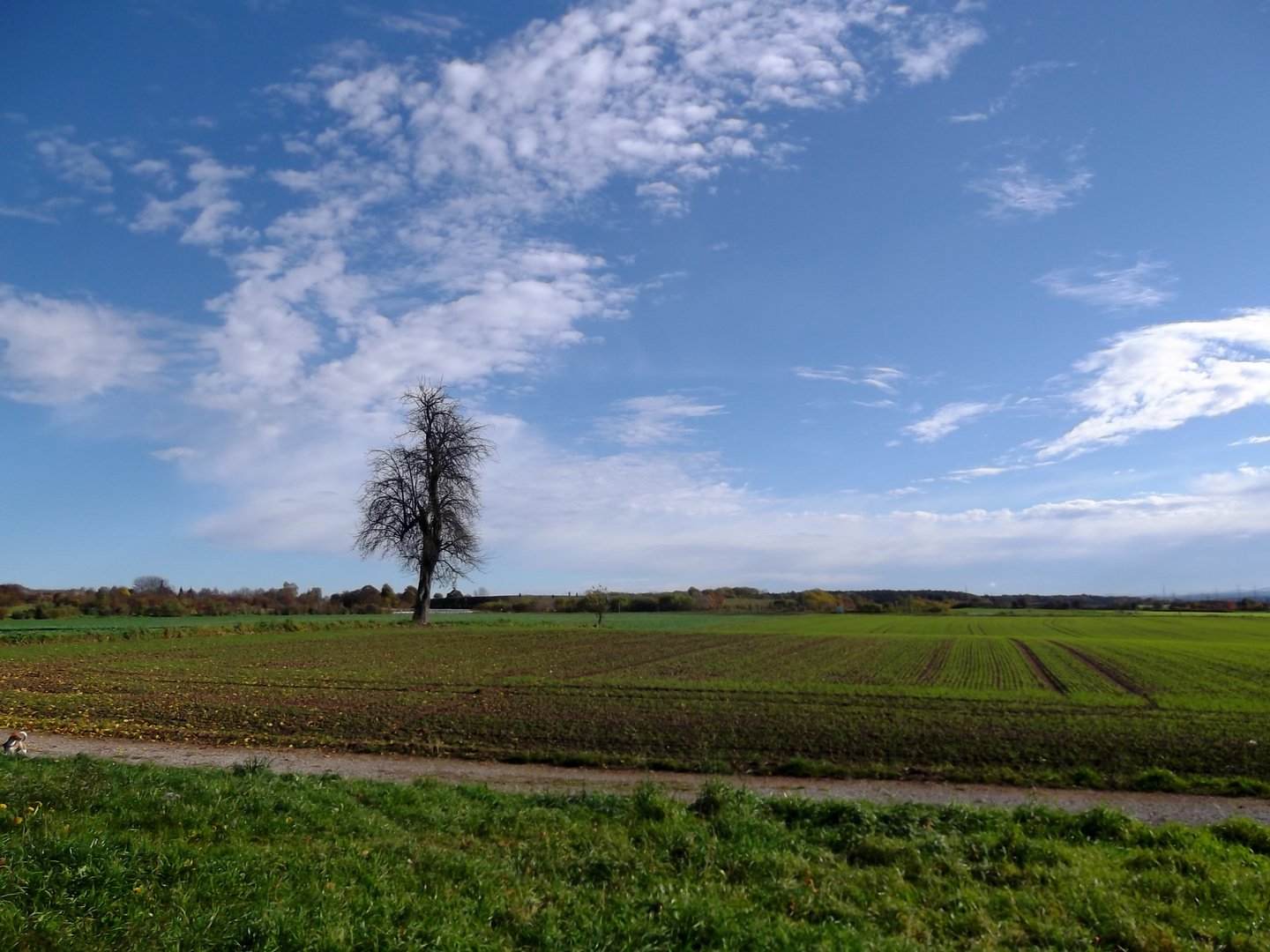 Herzogenaurach - Lohof