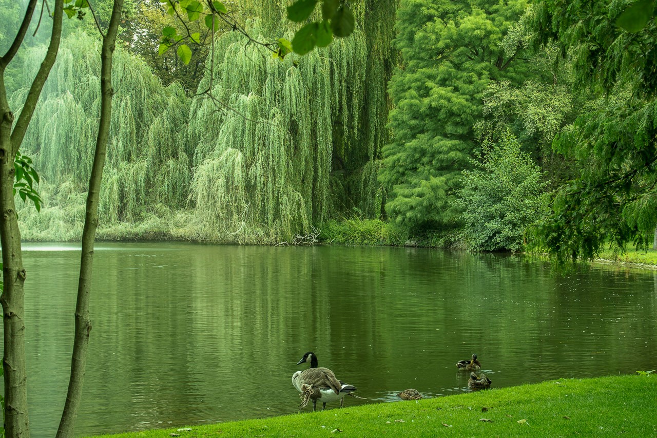 Herzogenried-Park Mannheim