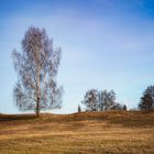 Herzogsberge im Winterlicht