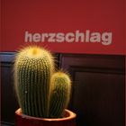 Herzschlag