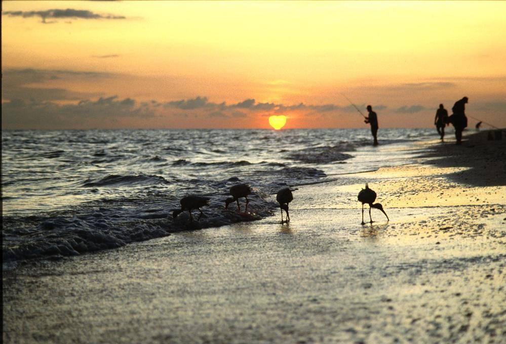 Herzsonnenuntergang mit Strandläufern/Sunset with 'HEART'