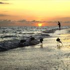 Herzsonnenuntergang mit Strandläufern/Sunset with 'HEART'