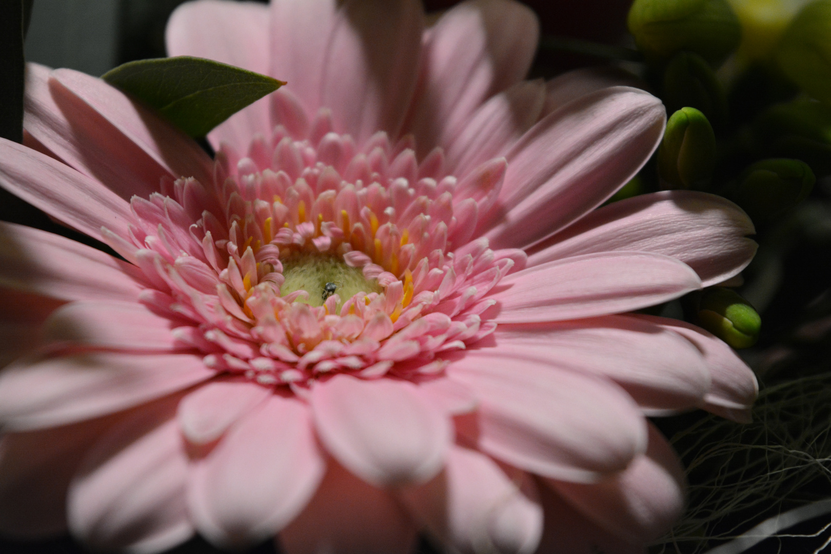 Herzstück im Blumenstrauß