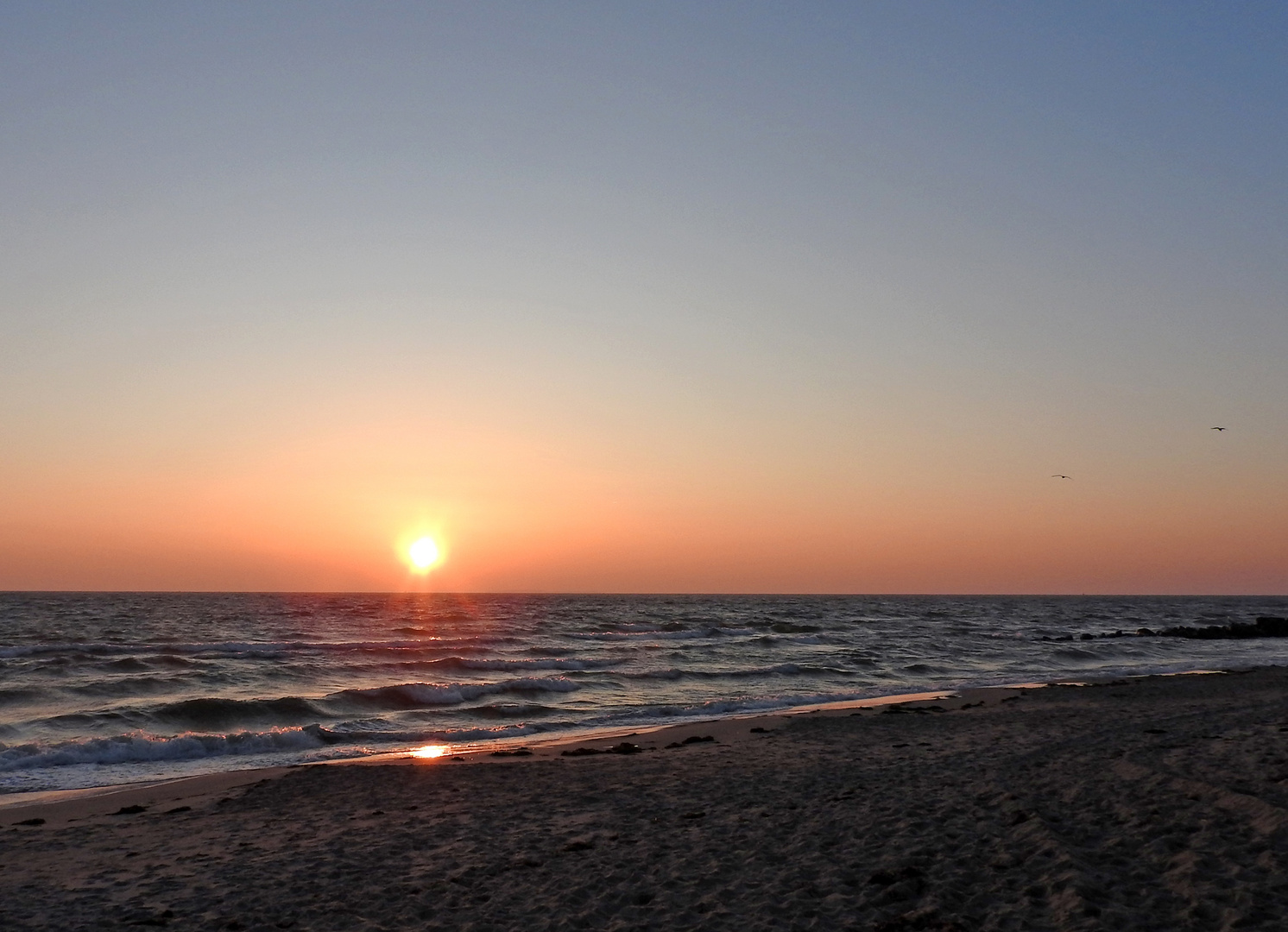 HERZTOR Ostsee