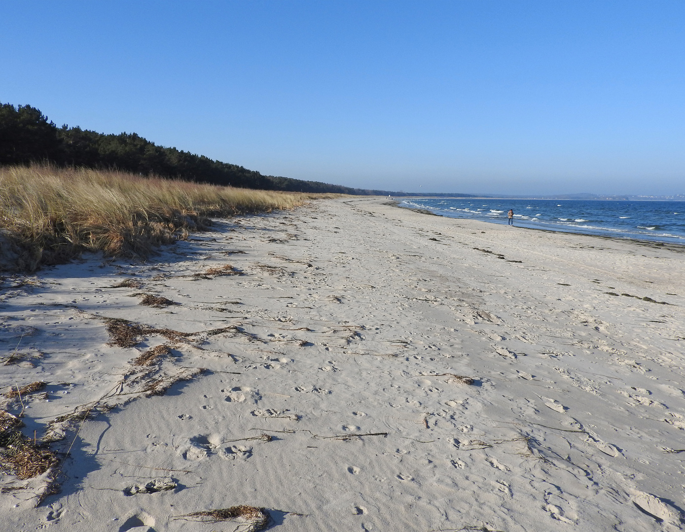 HERZTOR _ Strand an der Ostsee