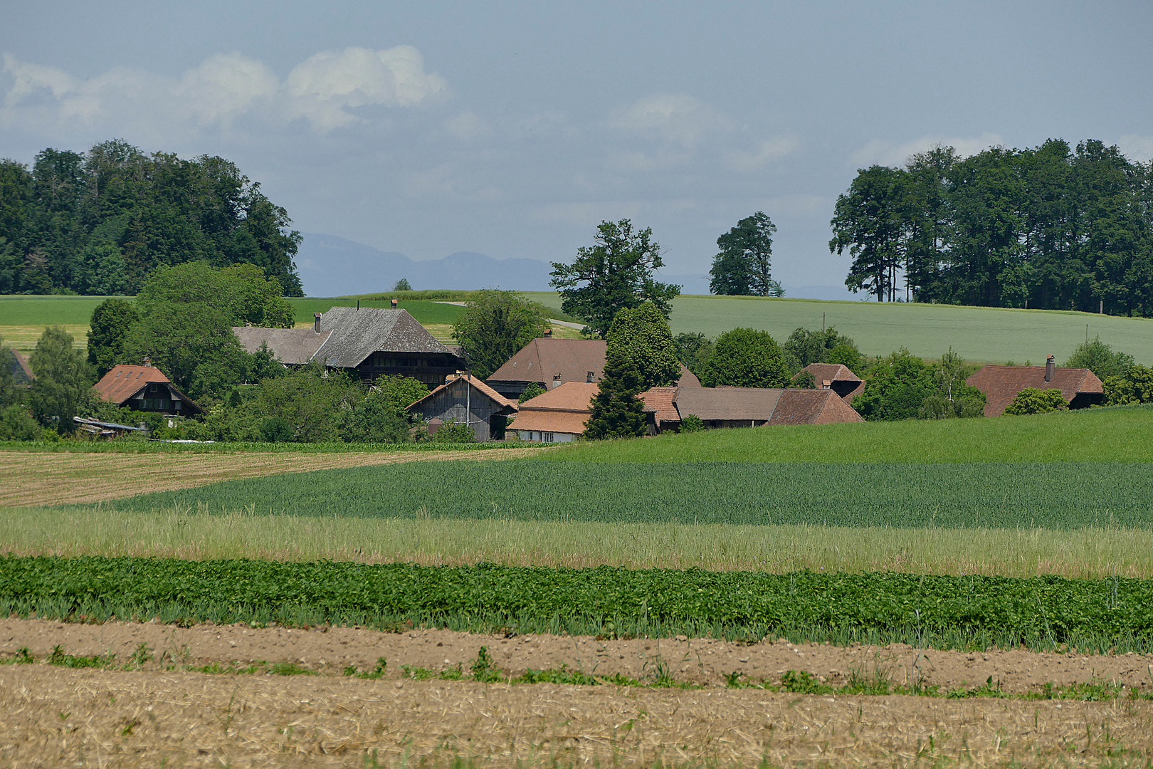 Herzwil b. Bern