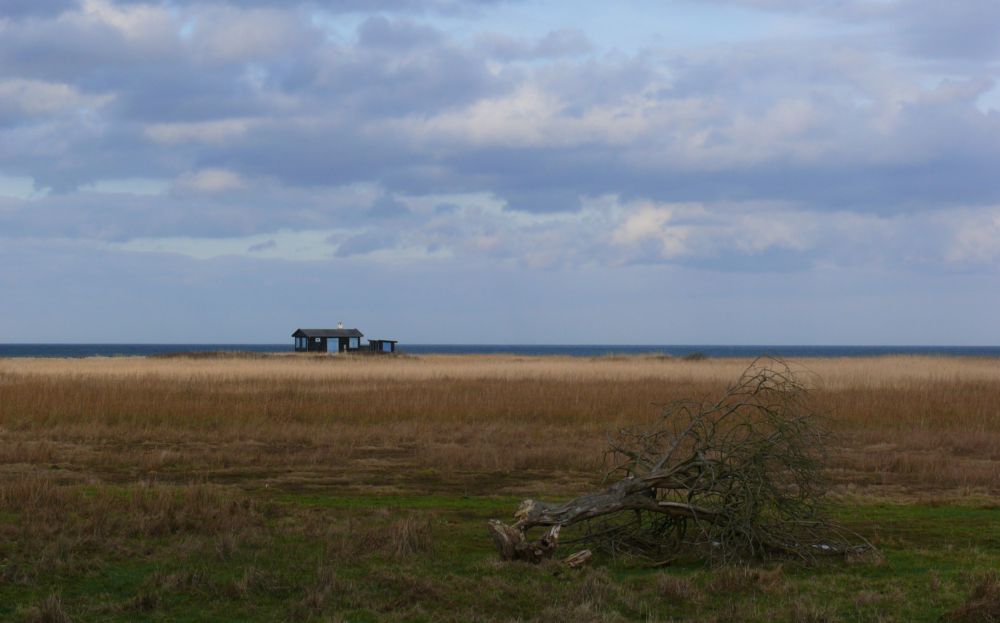 Hesselø Bugt / Denmark