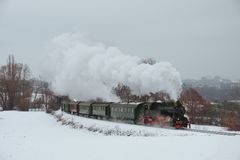 Hessencourrier im Schne