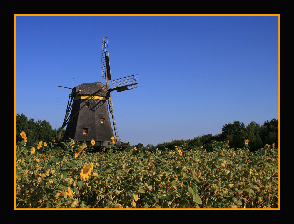 Hessenpark II: Die alte Windmühle