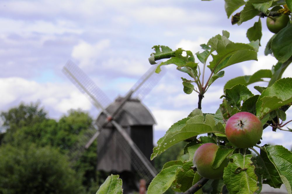 Hessenpark - Mühle