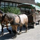 Hessenpark Neu-Ansbach/Taunus