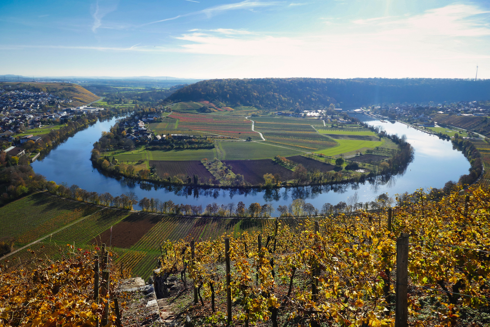 Hessigheimer Neckarschleife