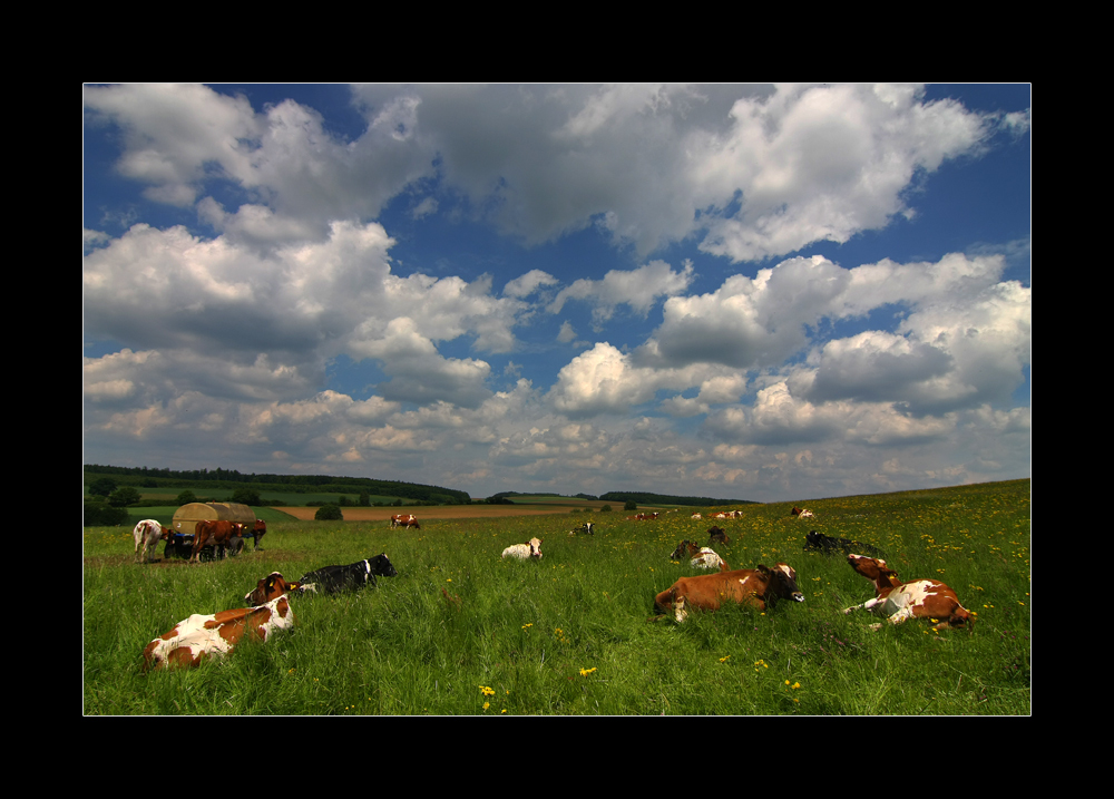 hessische Landschaftsidylle