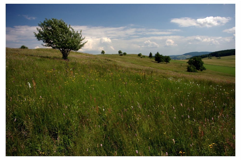 Hessische Rhön