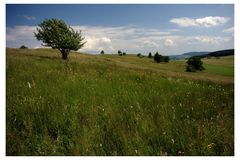 Hessische Rhön