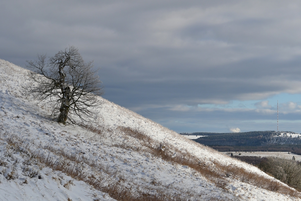 Hessische Rhön: Wasserkuppe – Die unbeugsame Schneeweide mit Fernsicht