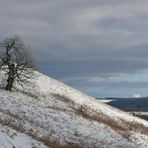 Hessische Rhön: Wasserkuppe – Die unbeugsame Schneeweide mit Fernsicht