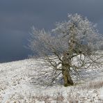 Hessische Rhön: Wasserkuppe – Schneeweide zwischen Himmel und Erde