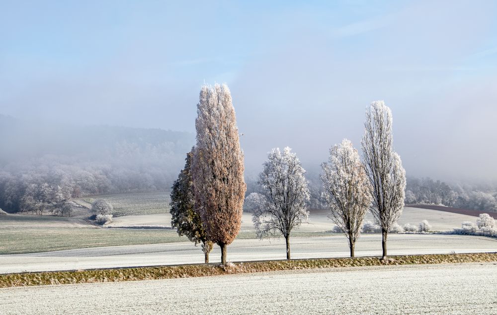 Hessische Toskana II