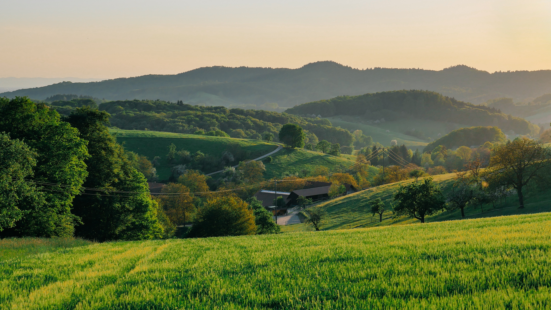 Hessischer Odenwald bei Mörlenbach 2016