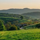 Hessischer Odenwald bei Mörlenbach 2016