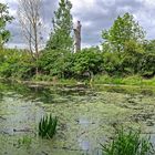 Hessisches Ried bei Stockstadt am Rhein