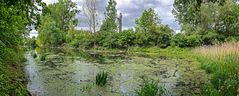 Hessisches Ried bei Stockstadt am Rhein