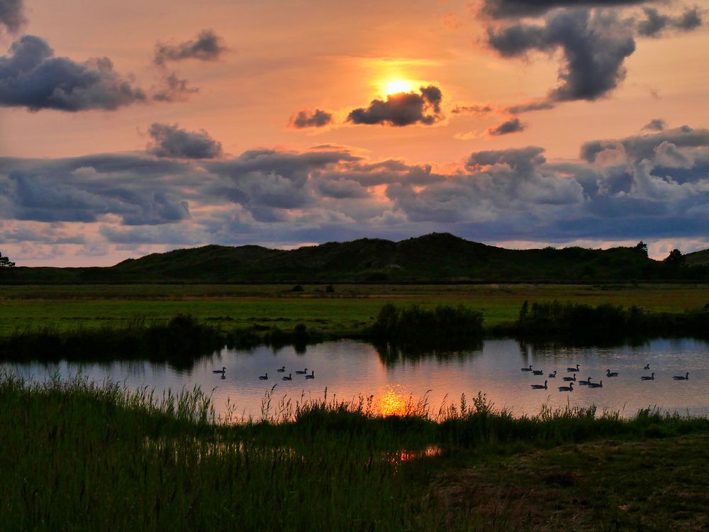 Het Alloo op Texel