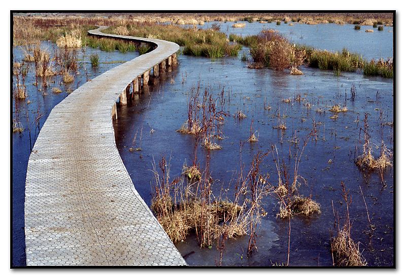 Het Vinne - naturpark Zoutleeuw