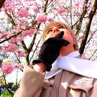 Hetalia Russland bei der Hanami in Berlin