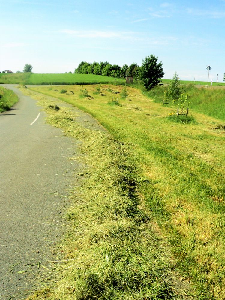 Heu auf der Straße 