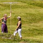 Heu machen auf der Alp