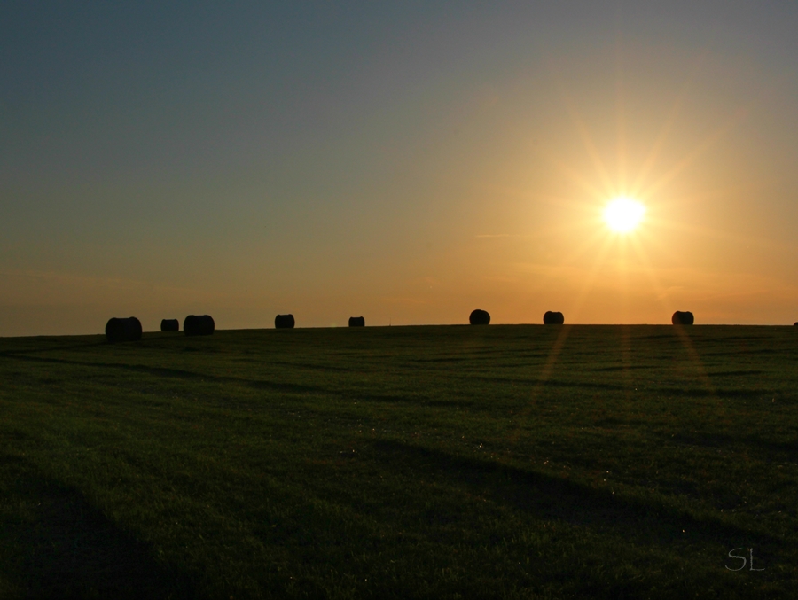 Heu-Räder im Abendlicht