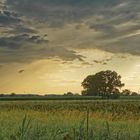 Heubachniederung Lavesum NRW