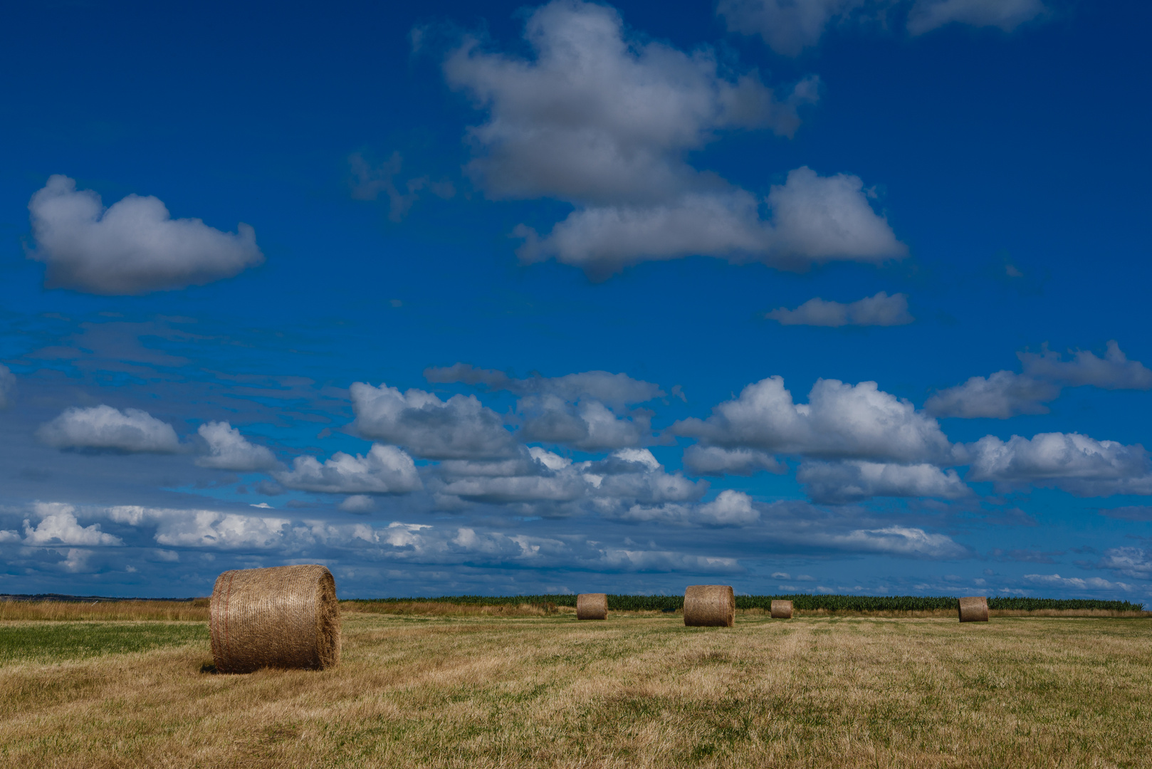 [ Heuballen, Amrum Wattseite ]