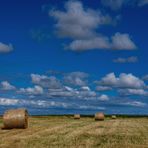 [ Heuballen, Amrum Wattseite ]